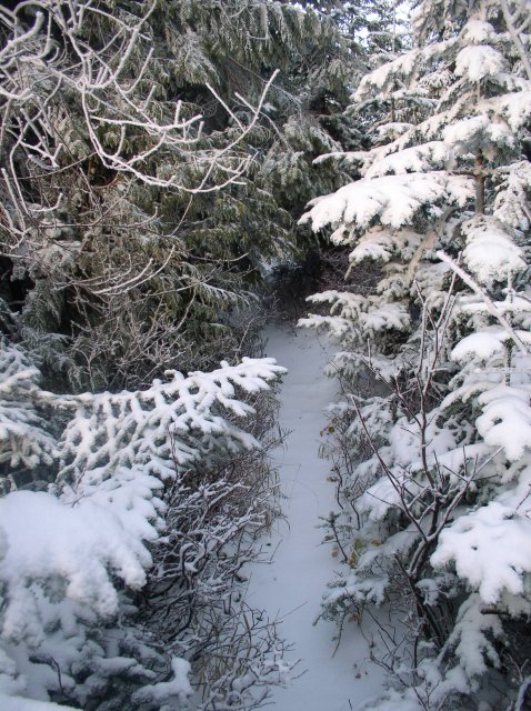 11.27.05 Nesmith Point 105 